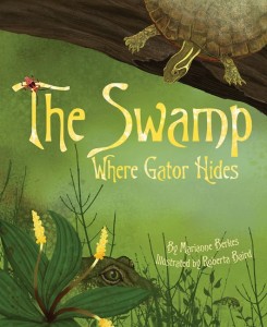 swamp_Baird