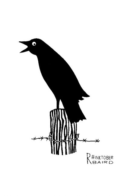 crow_ink19_rbaird